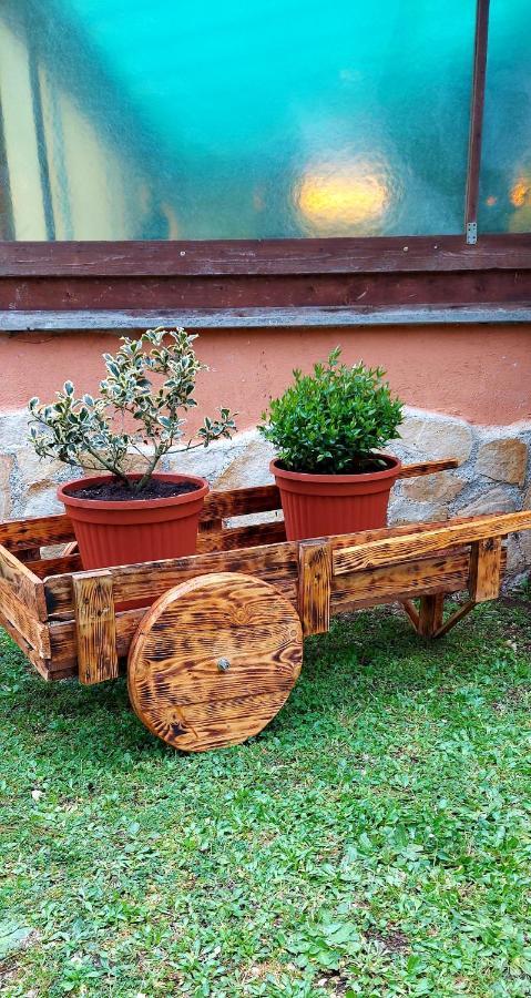 Bed And Breakfast Monticelli Capranica Exterior foto